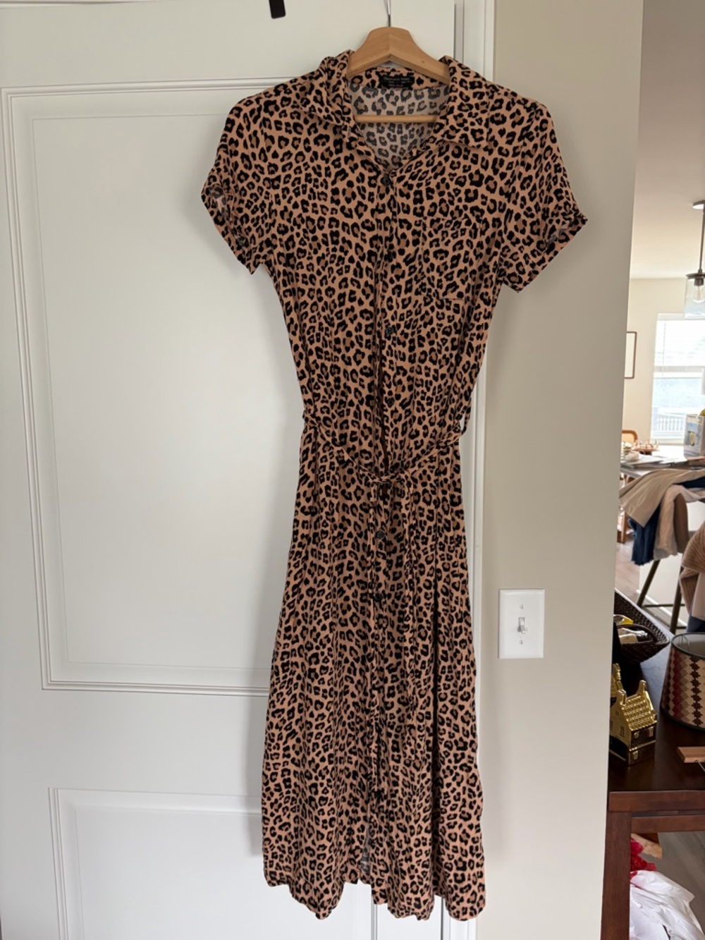Leopard Print Tie-Waist Maxi Dress